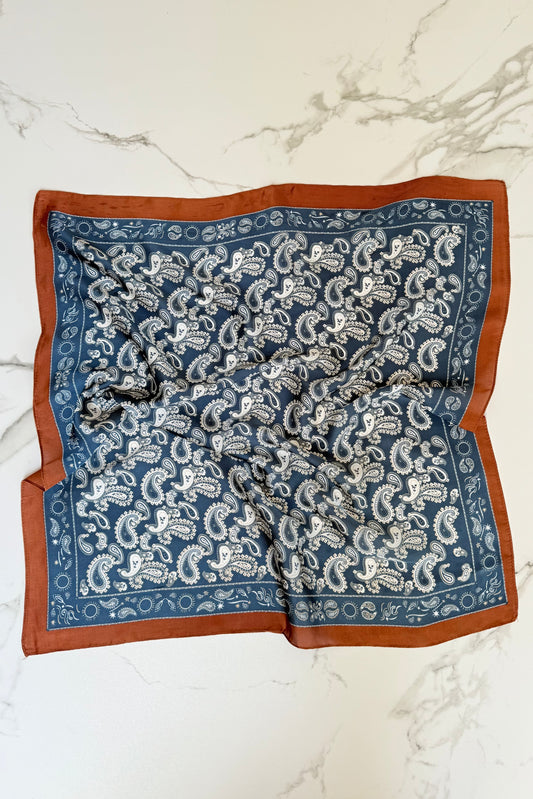Vilja Scarf -Blue Paisley Brown Border