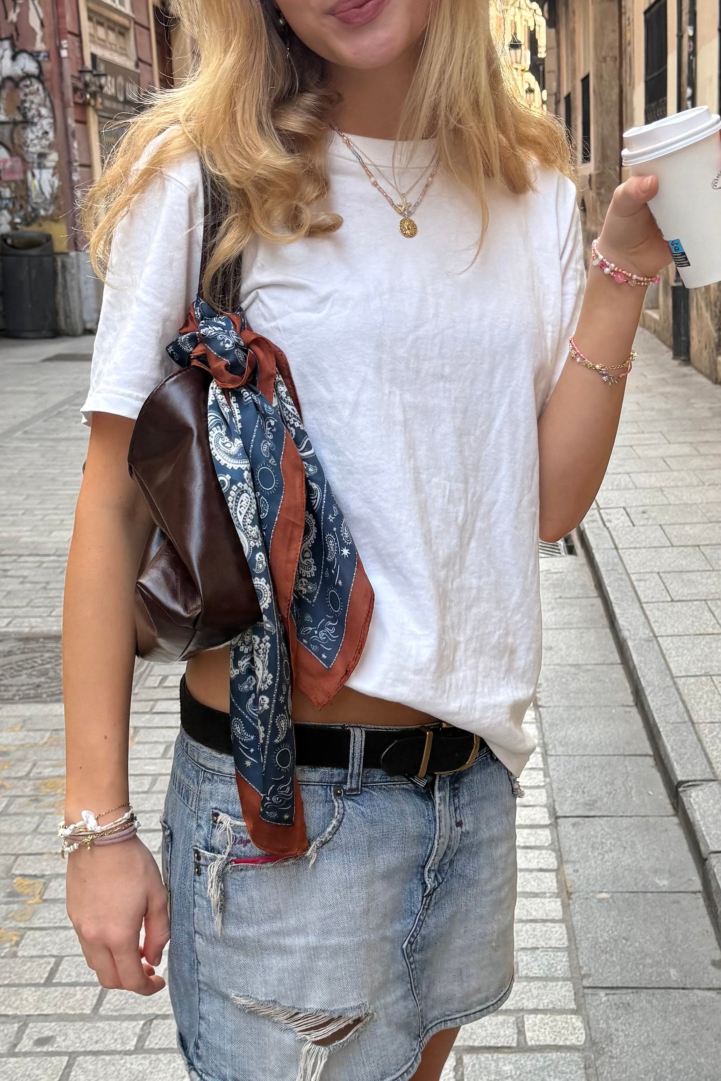 Vilja Scarf -Blue Paisley Brown Border